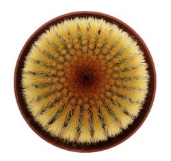 UEBELMANNIA pectinifera var. eriocactoides RNK 99, 10km N of Curimataí, illustrative photo