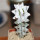 STENOCEREUS beneckei, pot 6 cm, rooted offset