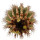 UEBELMANNIA pectinifera var. pseudopectinifera RNK 39, Trinta Réis, illustrative photo