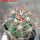 ECHINOCACTUS horizonthalonius var. nicholii, Vekol Mts., Pinal Co., grafted seedling