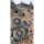 COPIAPOA  x C. cinerea var. tenebrosa GCG 15043, selection, copyright Gerardo Snicer