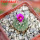 STROMBOCACTUS esperanzae var. nova long spines, SN 2014.0201, 5 cm pot, flowering SEEDLING
