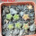 AZTEKIUM valdezii GCG 10893, own roots, 5 cm pot, 6 pcs., SEEDLINGS