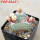 STROMBOCACTUS disciformis f. cristate, 8 cm pot, 2 pcs., SEEDLINGS