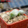 PSEUDOLITHOS caput-viperae, pot 6 cm, rooted offset