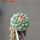 STROMBOCACTUS esperanzae var. nova long spines, SN 2014.0201, 5 cm pot, 2,4 cm SEEDLING
