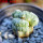LOPHOPHORA alberto-vojtechii f. cristata, 8 cm pot, grafted