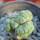 LOPHOPHORA alberto-vojtechii f. cristata, 8 cm pot, grafted