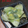 ARIOCARPUS retusus x fissuratus f. varigata F2 ex Pavlík, 7 cm pot, SEEDLING