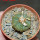 AZTEKIUM ritteri, 2,3 cm, 5 cm pot, SEEDLING