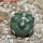 CORYPHANTHA elephantides cv. Tanshi Zougemaru f. inermis, 5 cm pot, rooted offset