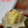 AZTEKIUM valdezii f. aurea GCG 10893, 6 cm pot, grafted
