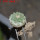 STROMBOCACTUS disciformis ssp. esperanzae VM 291, type form, Xichu, 2,4 cm SEEDLING