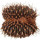 UEBELMANNIA buiningii f. cristata, illustrative photo