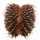 UEBELMANNIA buiningii f. cristata, illustrative photo